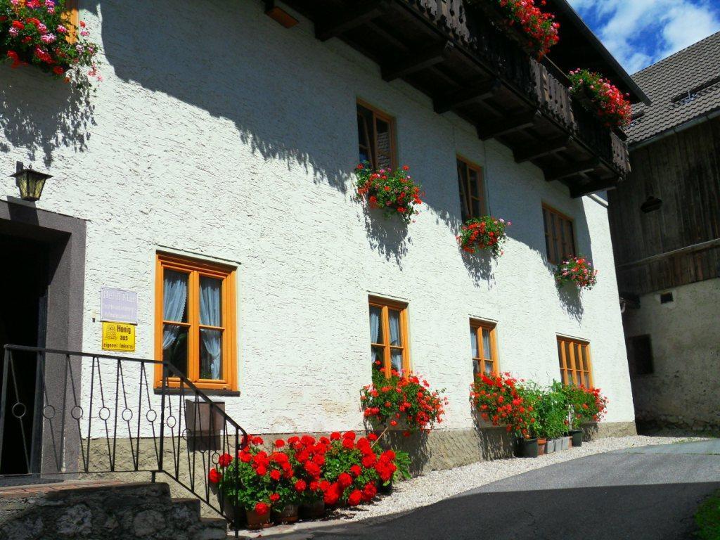 Appartement Haus Waldblick à Weissensee Extérieur photo