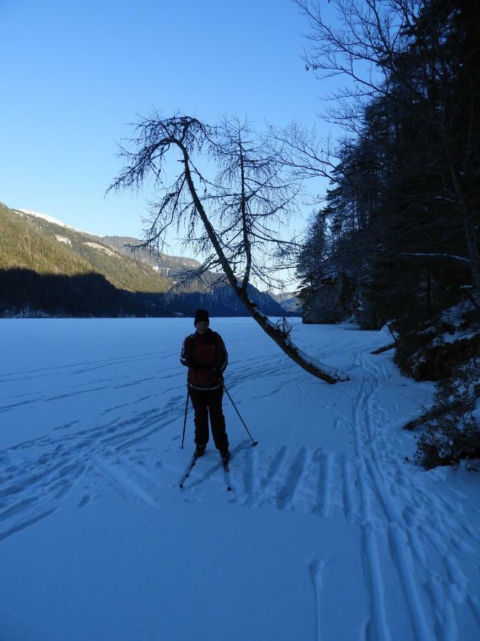 Appartement Haus Waldblick à Weissensee Extérieur photo