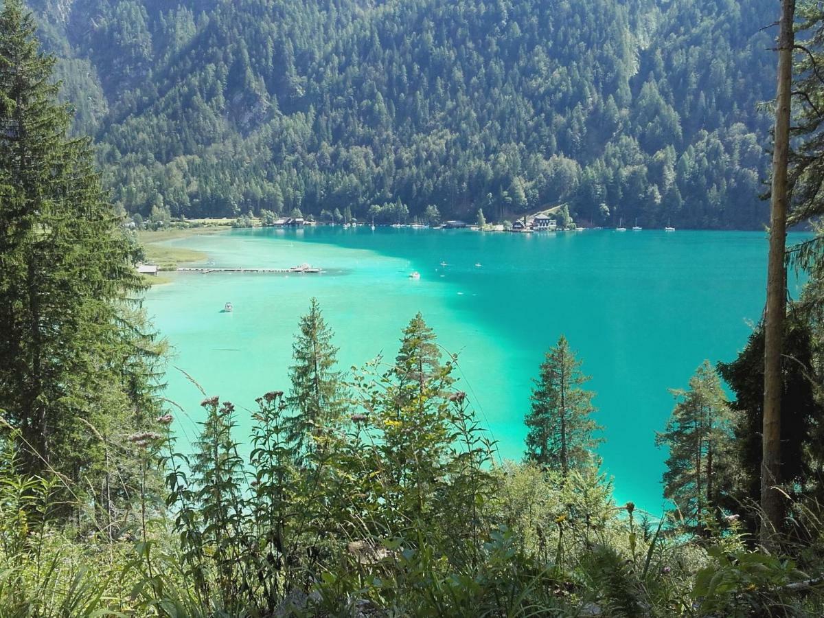 Appartement Haus Waldblick à Weissensee Extérieur photo